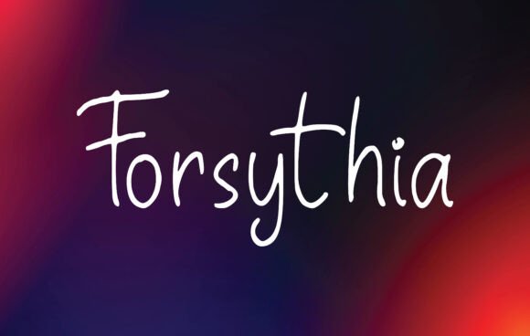 Forsythia: A Designer’s Honest Review