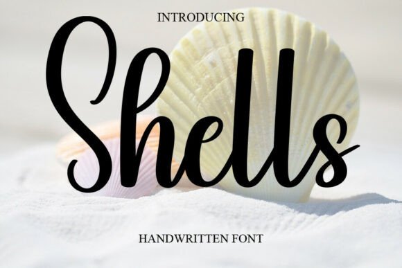 Shells Font: A Sweet Typeface for Bold Campaigns