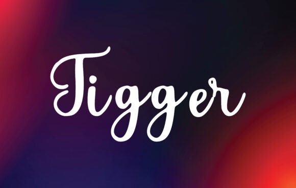 Tigger Font Review for Campaign Designers